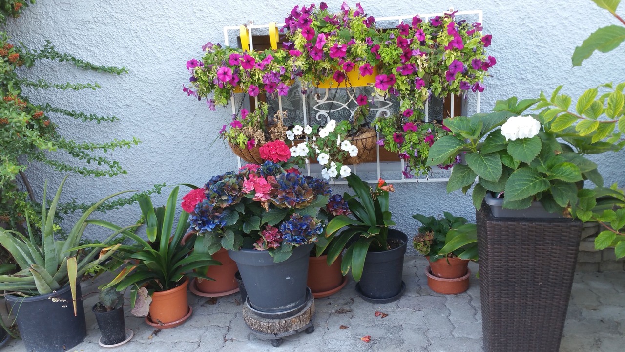 Photo of Outdoor in Breuschwickersheim