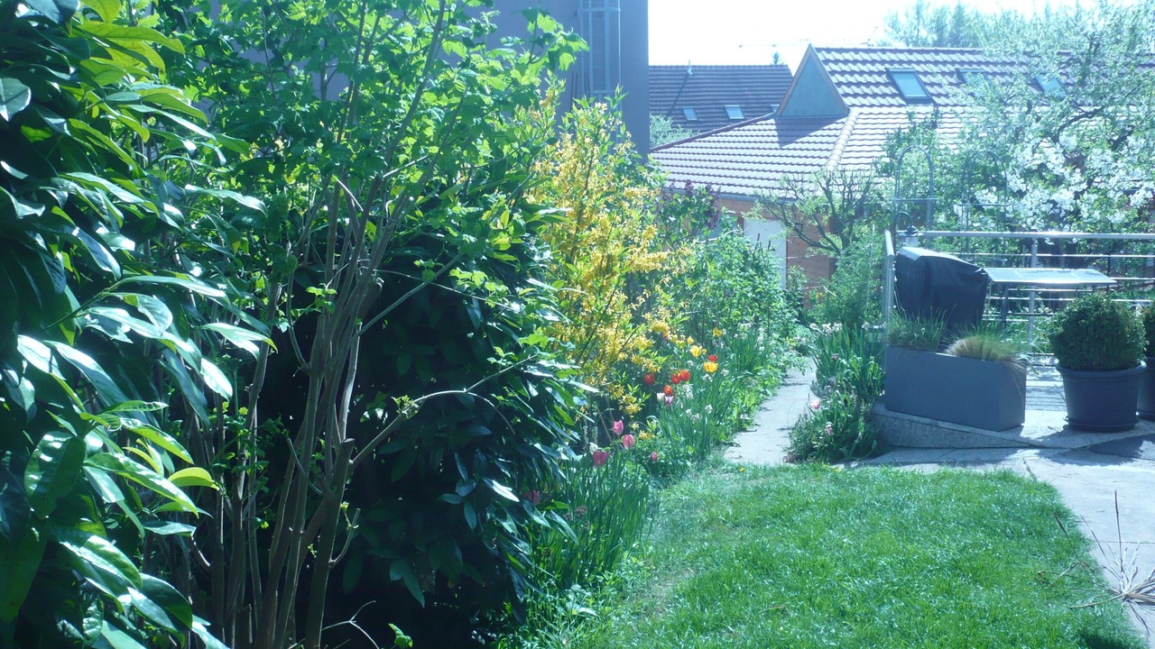 Photo of Outdoor in Breuschwickersheim