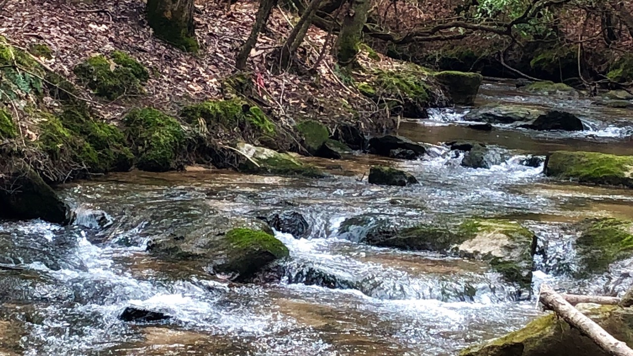Photo of Others in Connellys Springs