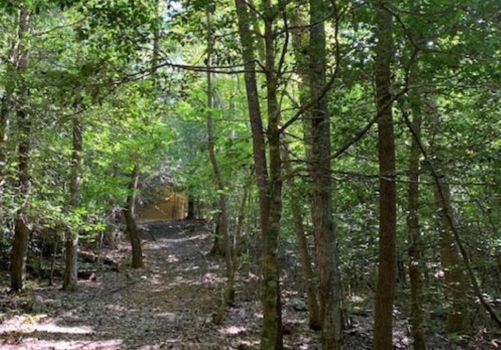 Photo of Outdoor in Murphy