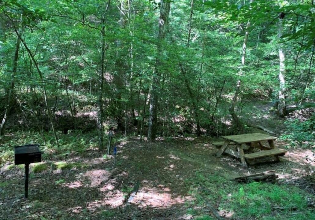 Photo of Outdoor in Murphy