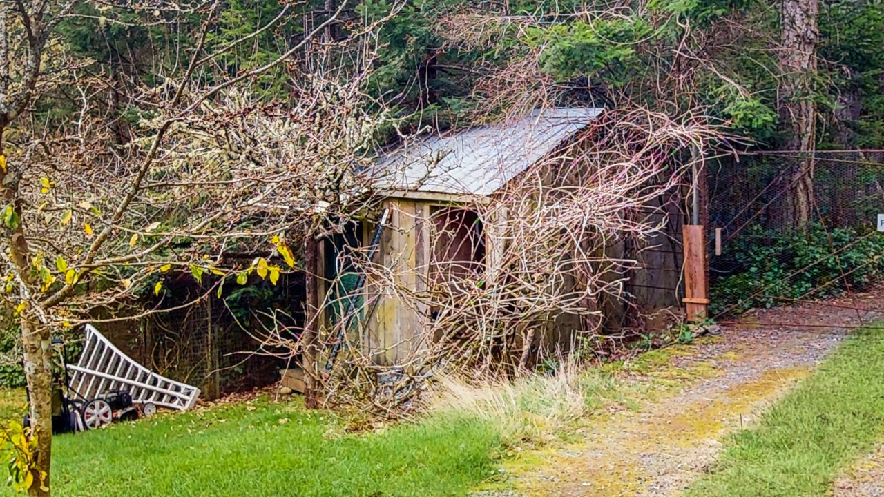 Photo of Outdoor in Eastsound