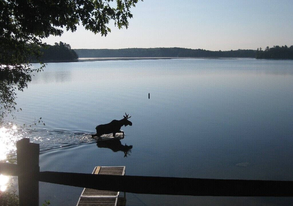 Photo of Others in Hartford