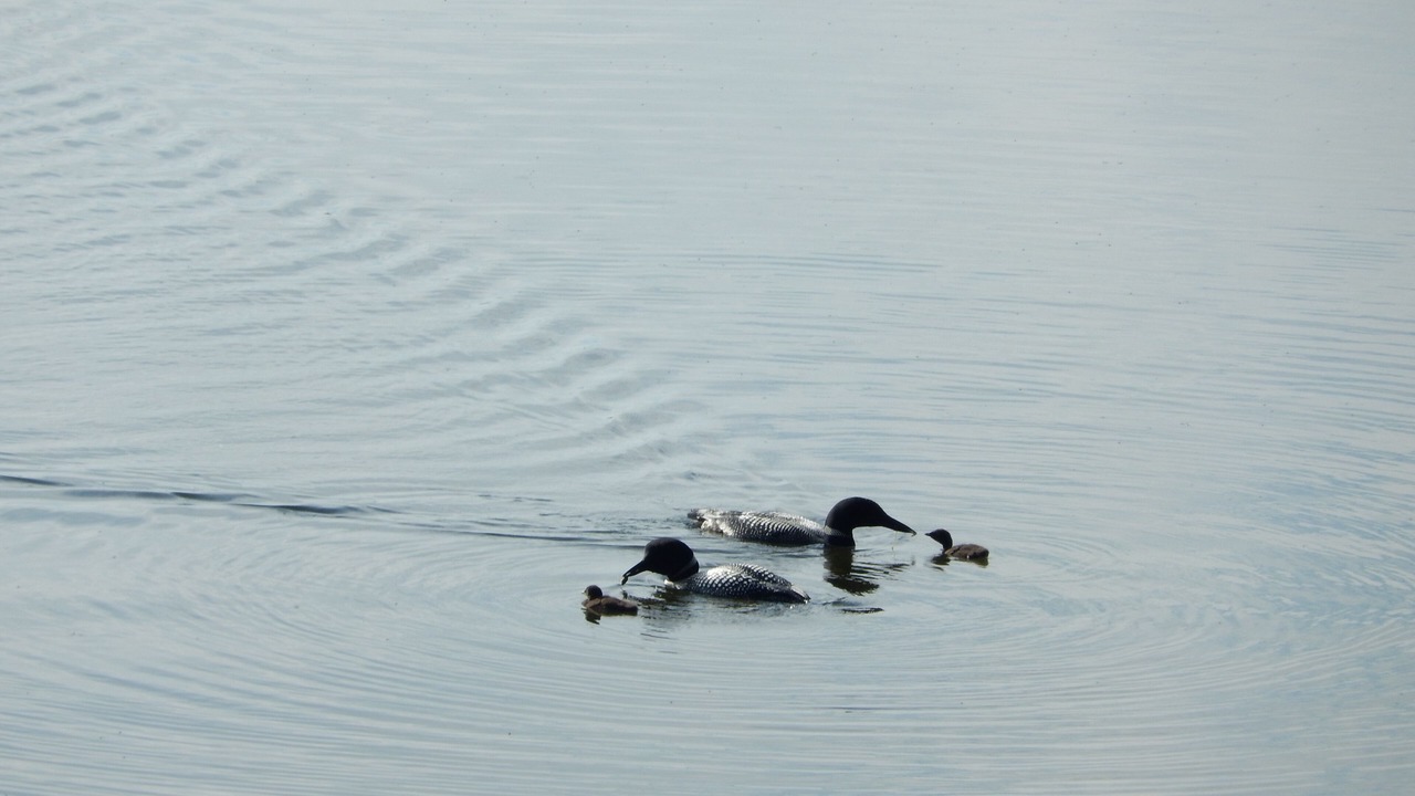 Photo of Others in Hartford