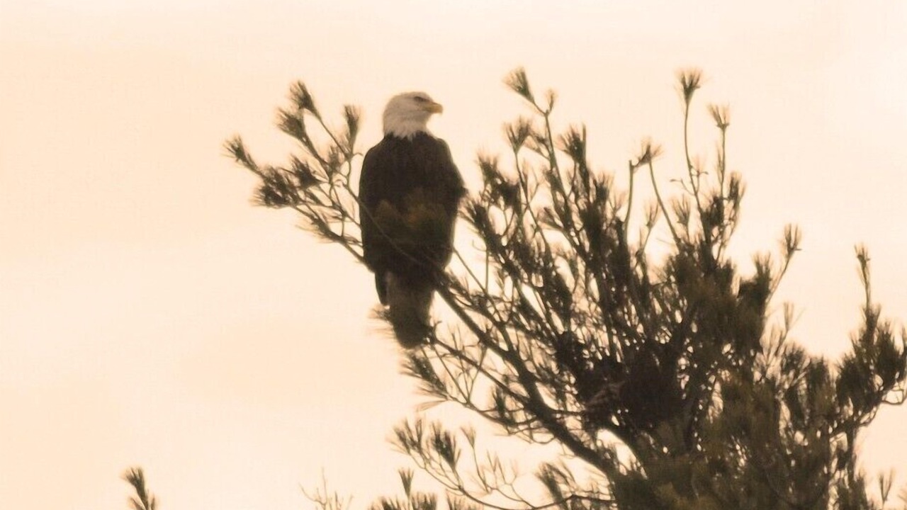 Photo of Others in Hartford