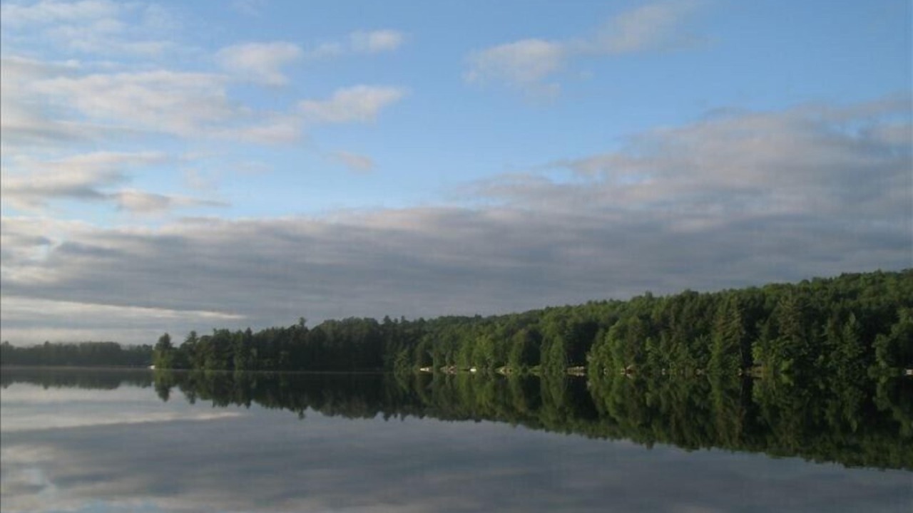 Photo of Others in Hartford