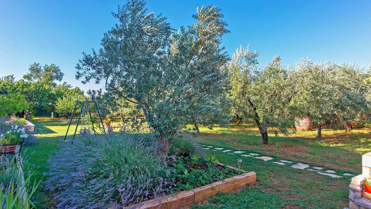 Photo of Outdoor in Vodnjan