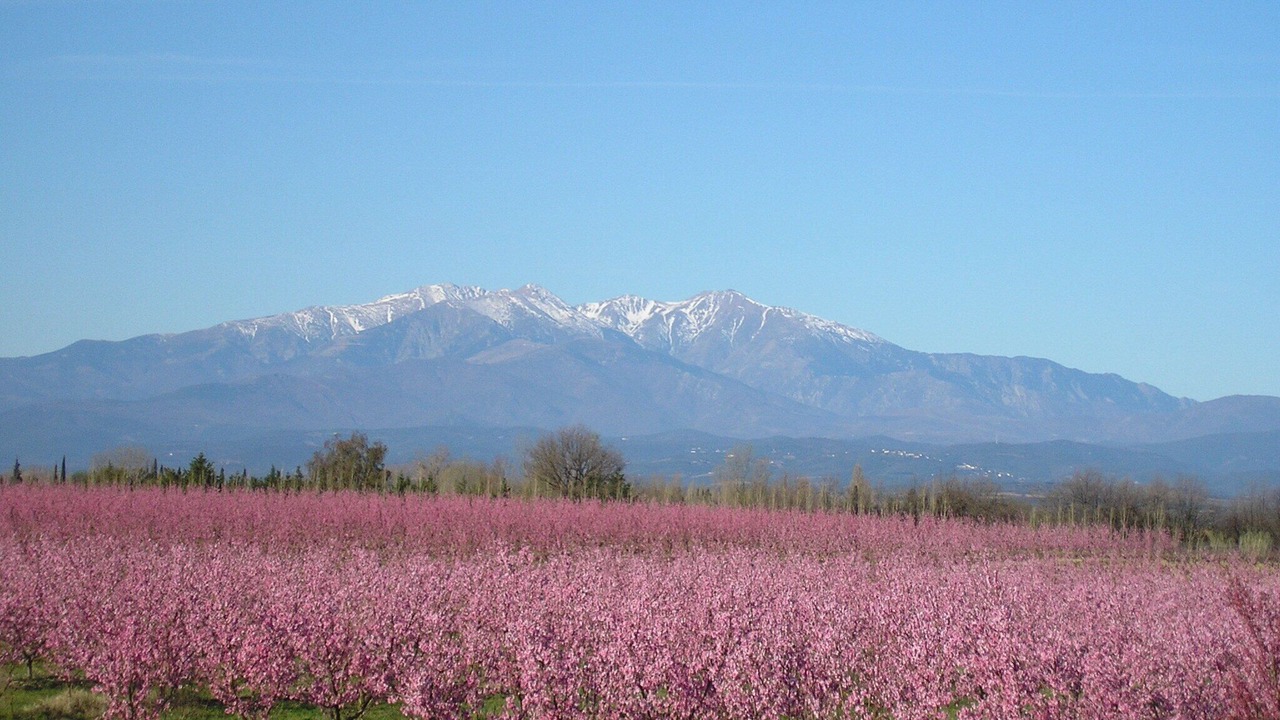 Photo of Outdoor in Sorede