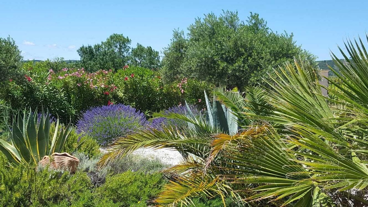 Photo of Outdoor in Montpeyroux