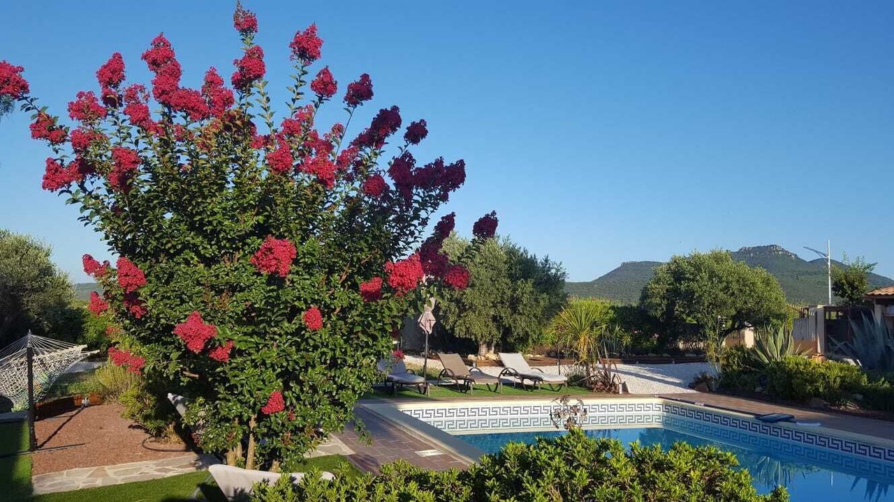 Photo of Outdoor in Montpeyroux