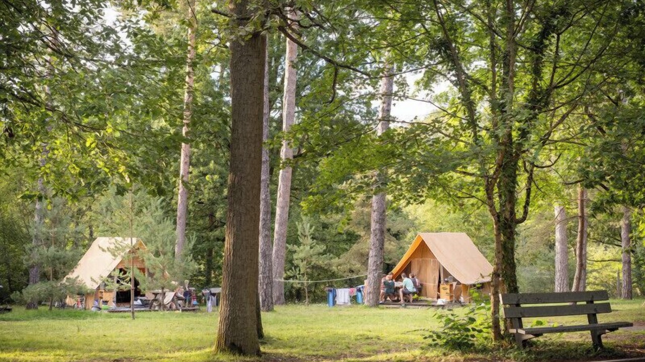 Photo of Outdoor in Rambouillet