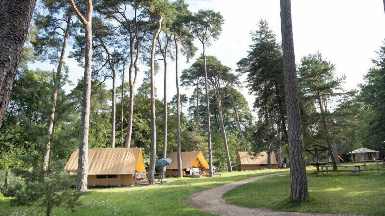 Photo of Outdoor in Rambouillet