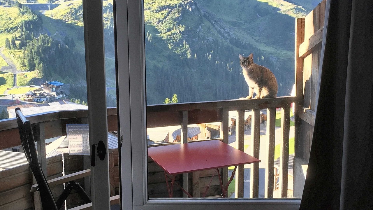 Photo of Others in Avoriaz