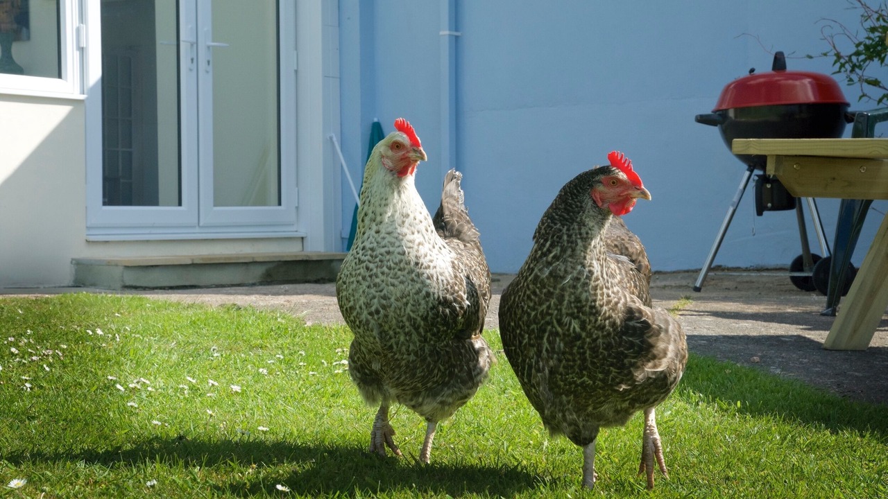 Photo of Patio Balcony in Cullompton