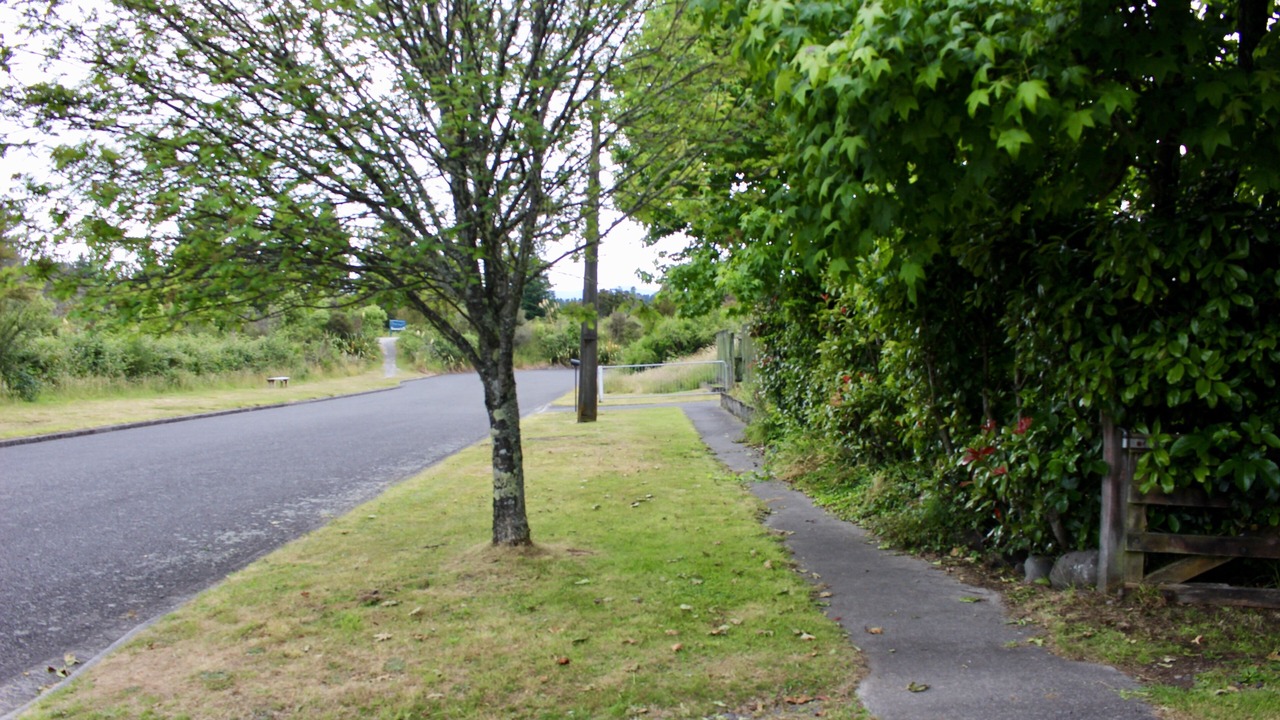 Photo of Outdoor in Turangi