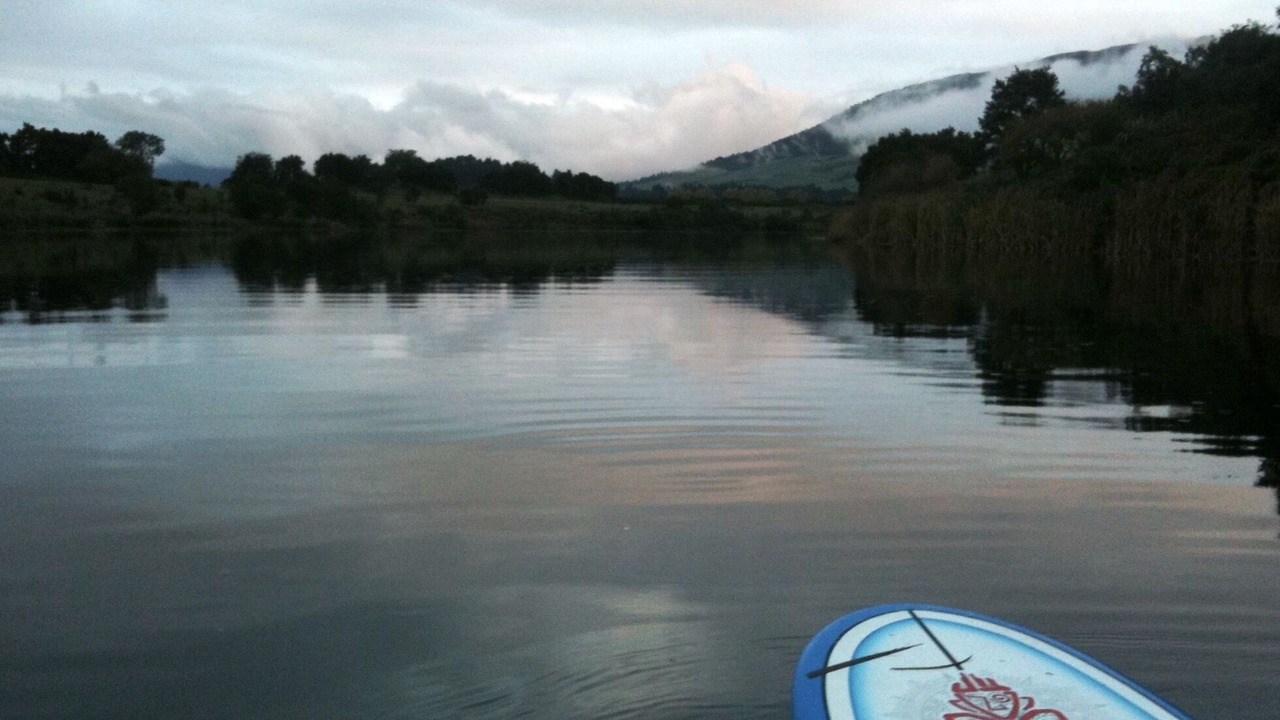 Photo of Others in Turangi