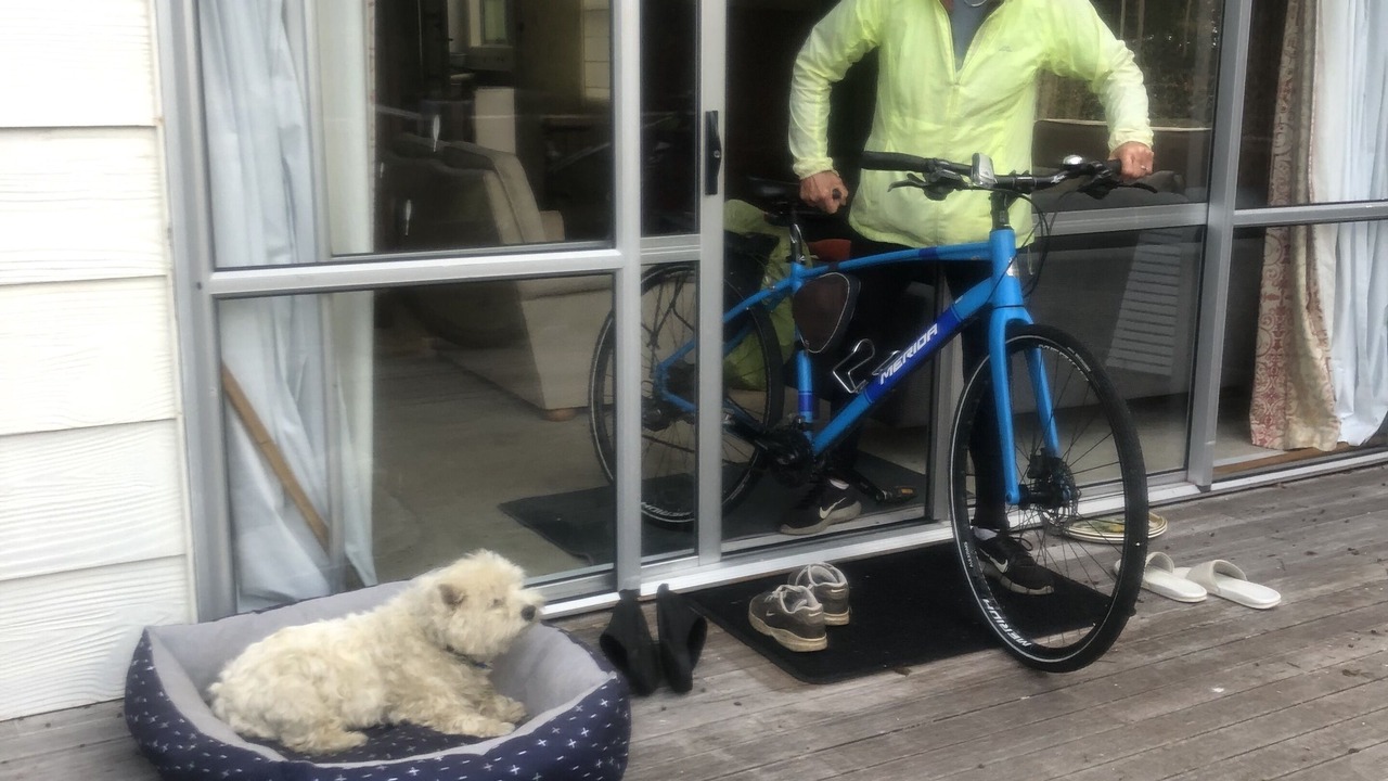 Photo of Others in Turangi