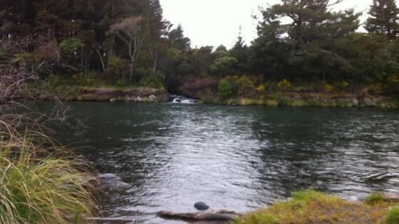Photo of Outdoor in Turangi