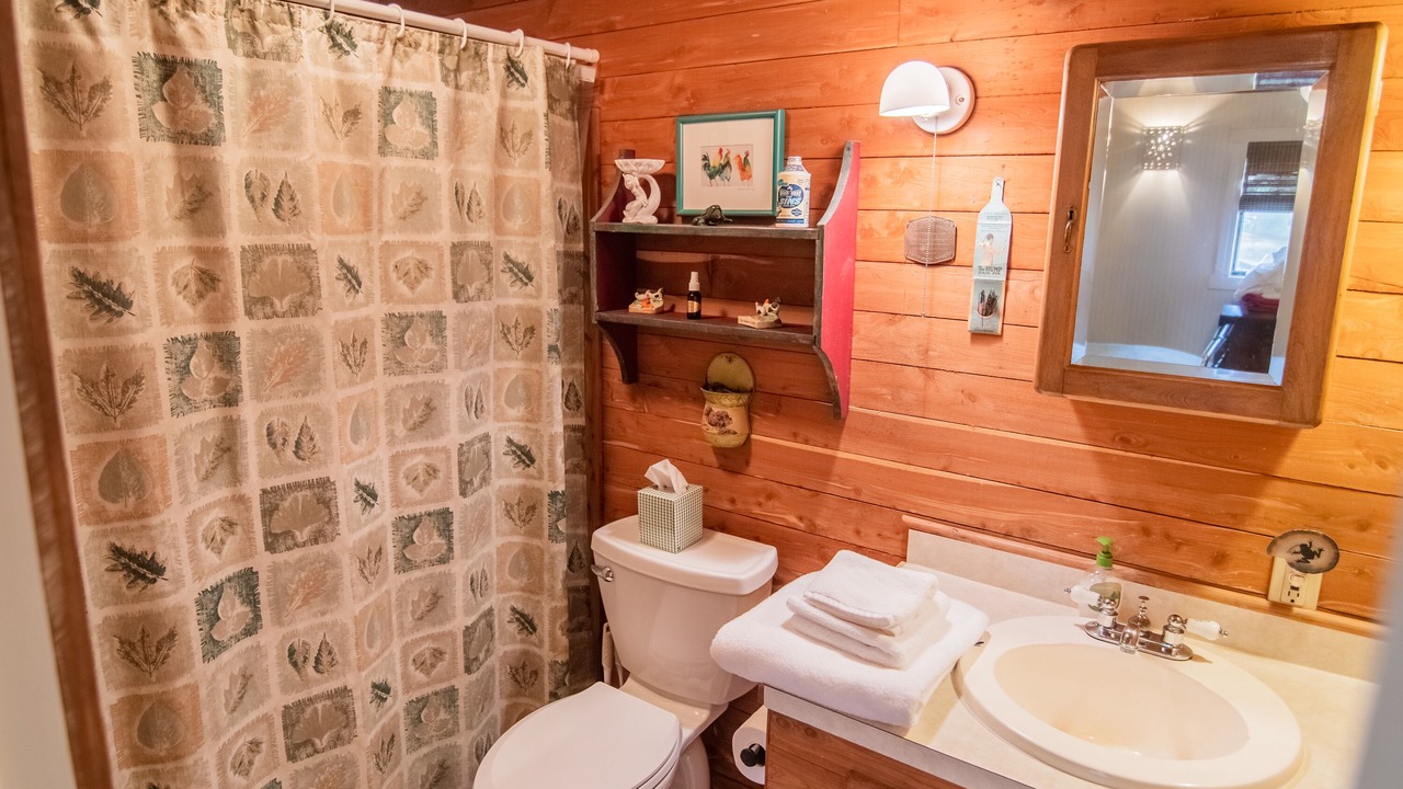 Photo of Bathroom in Smithville