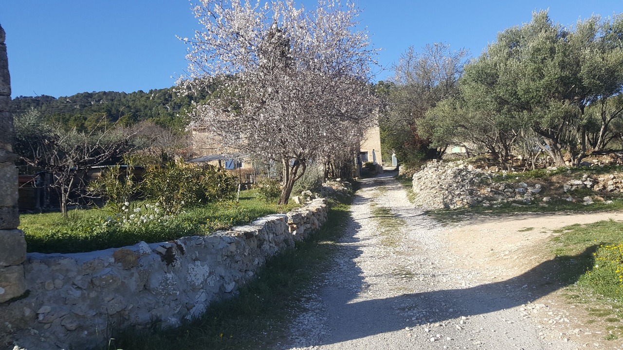 Photo of Outdoor in Cotignac