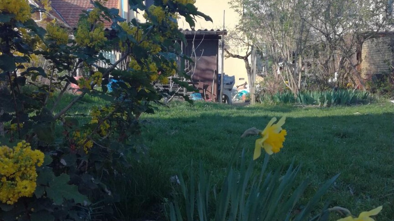 Photo of Outdoor in Saint Joseph/Mittelharth