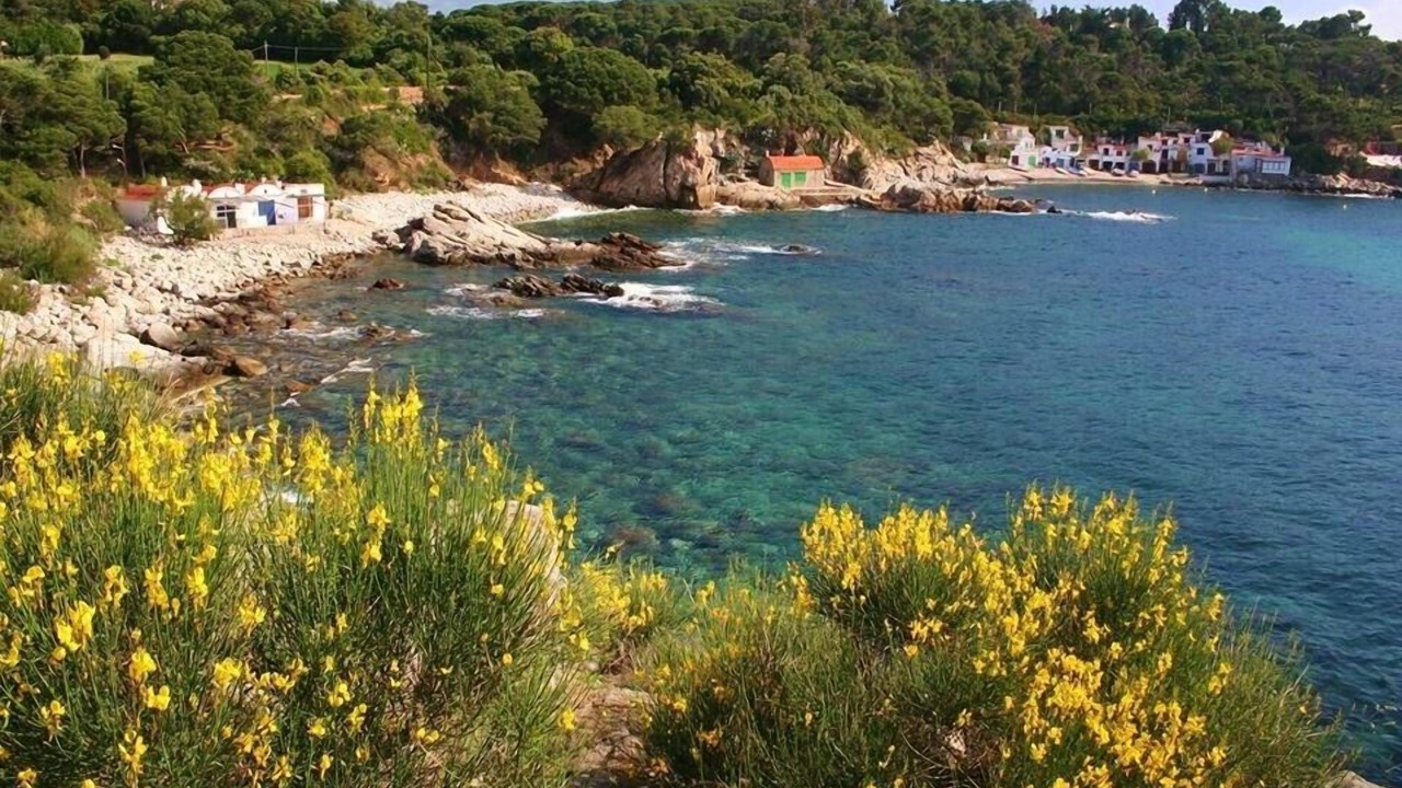 Photo of Others in Palamos