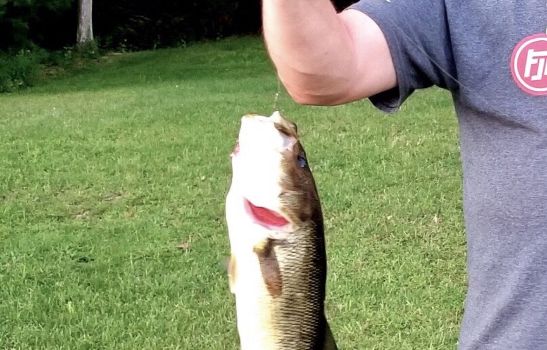 Photo of Outdoor in Lake Ariel