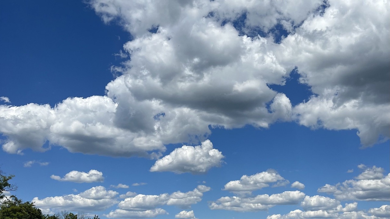 Photo of Others in Lake Ariel