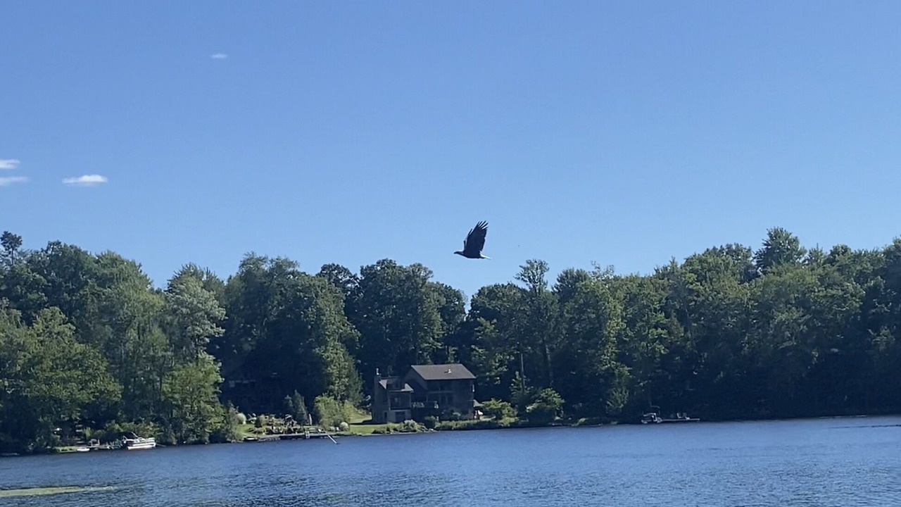 Photo of Outdoor in Lake Ariel