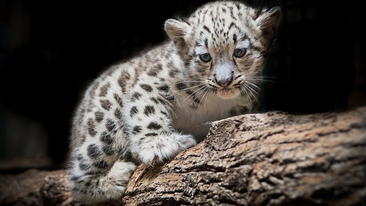 Photo of Others in Lake Ariel