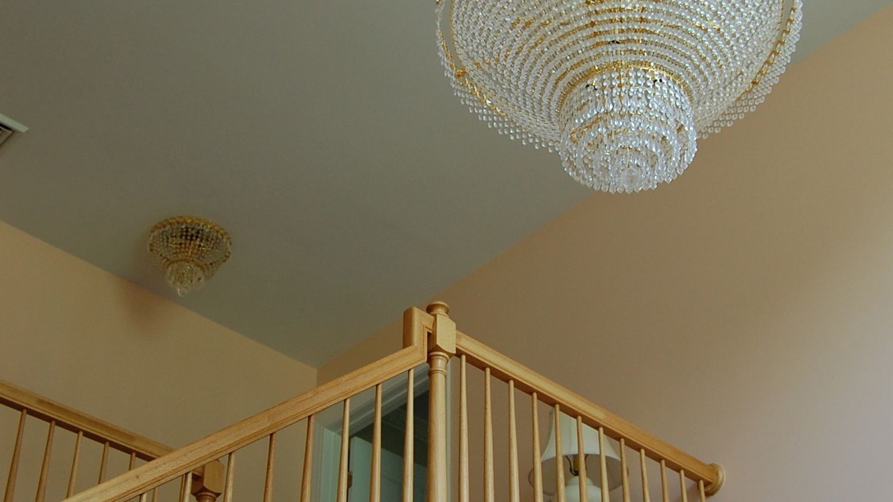 Photo of Others in Sheffield