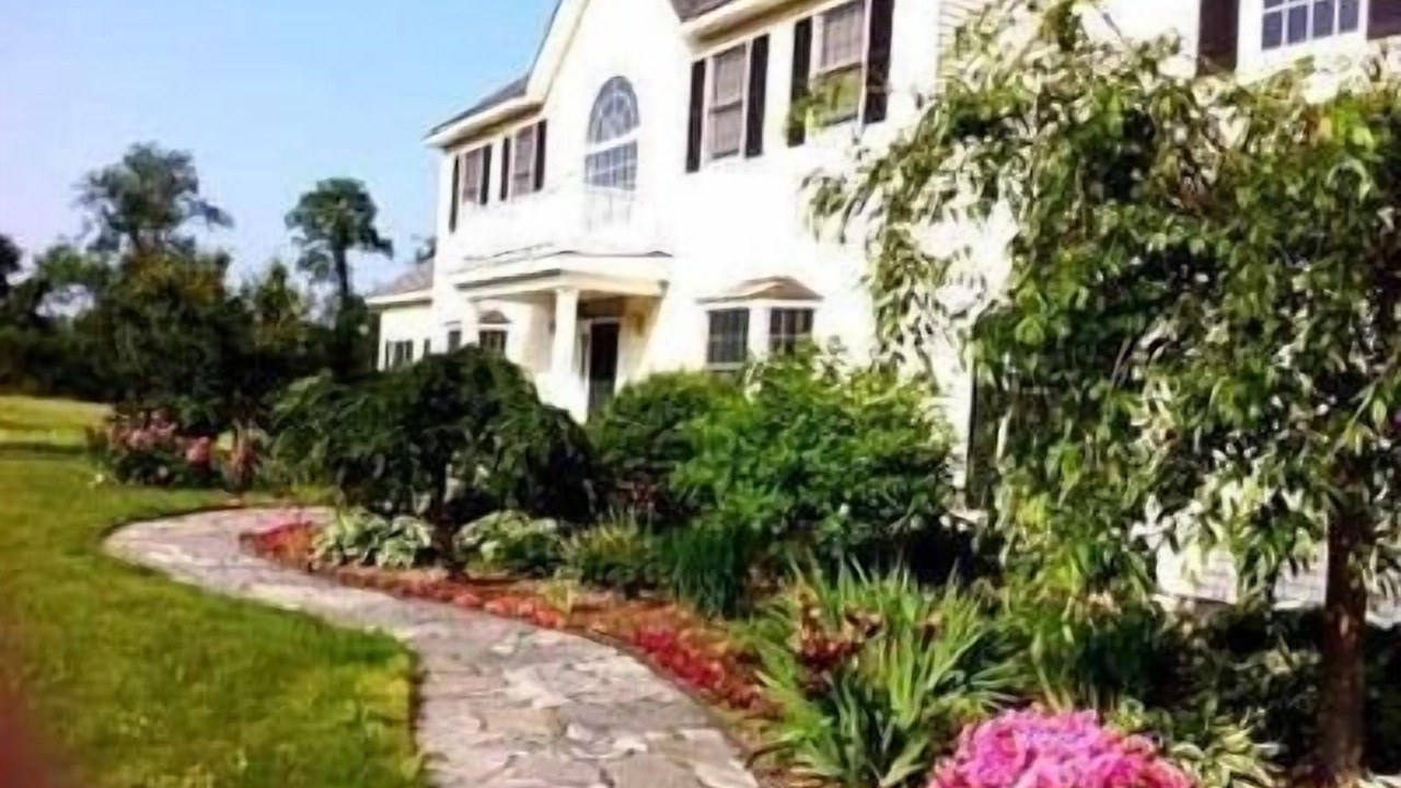 Photo of Others in Sheffield