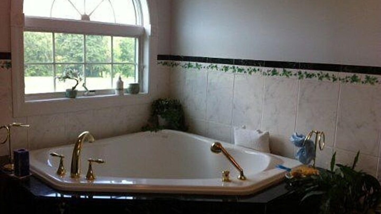 Photo of Others in Sheffield