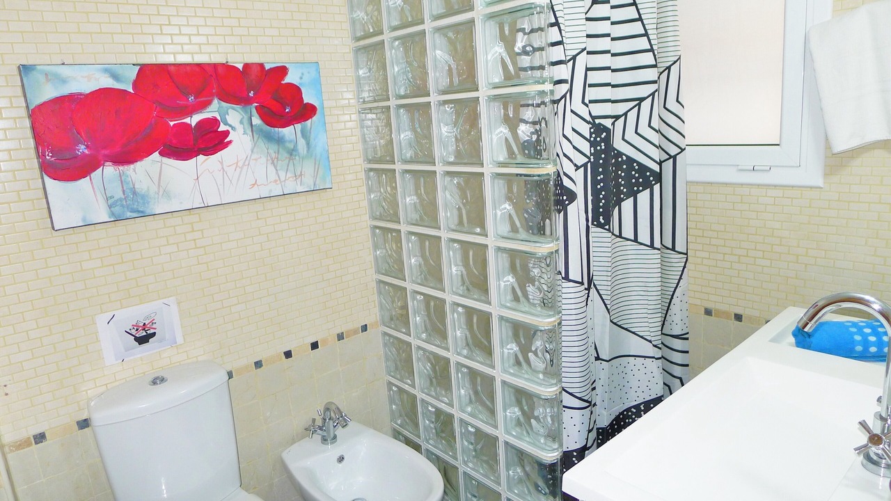 Photo of Bathroom in Montgat