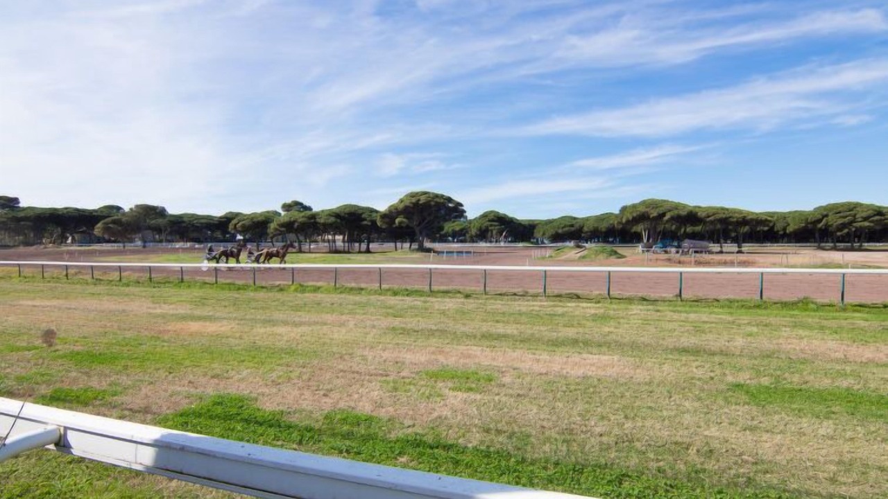 Photo of Others in Hyeres