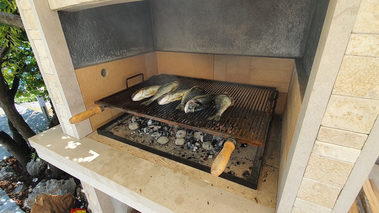 Photo of Outdoor in Baric Draga