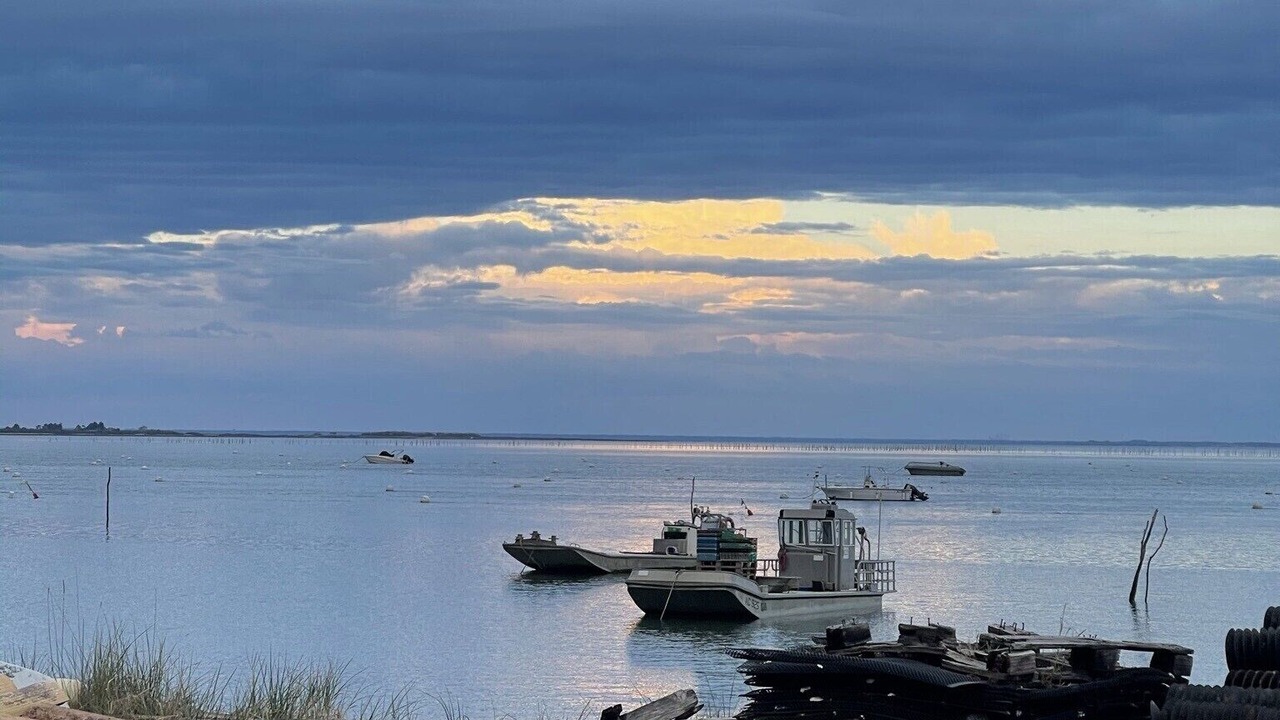 Photo of Others in Le Canon