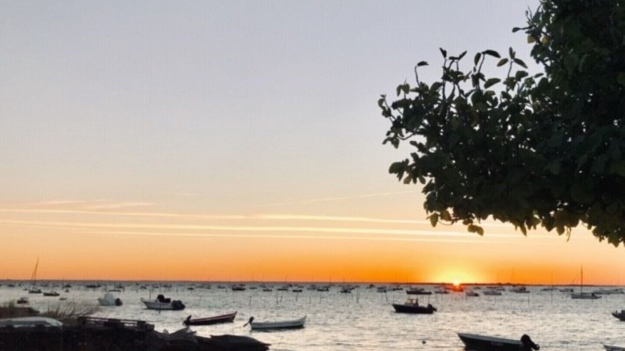 Photo of Others in Le Canon