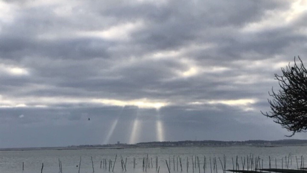 Photo of Others in Le Canon