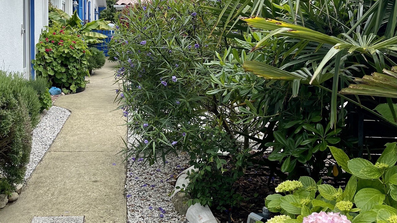 Photo of Outdoor in Le Canon