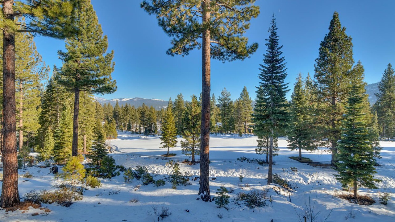 Photo of Others in Ponderosa Palisades