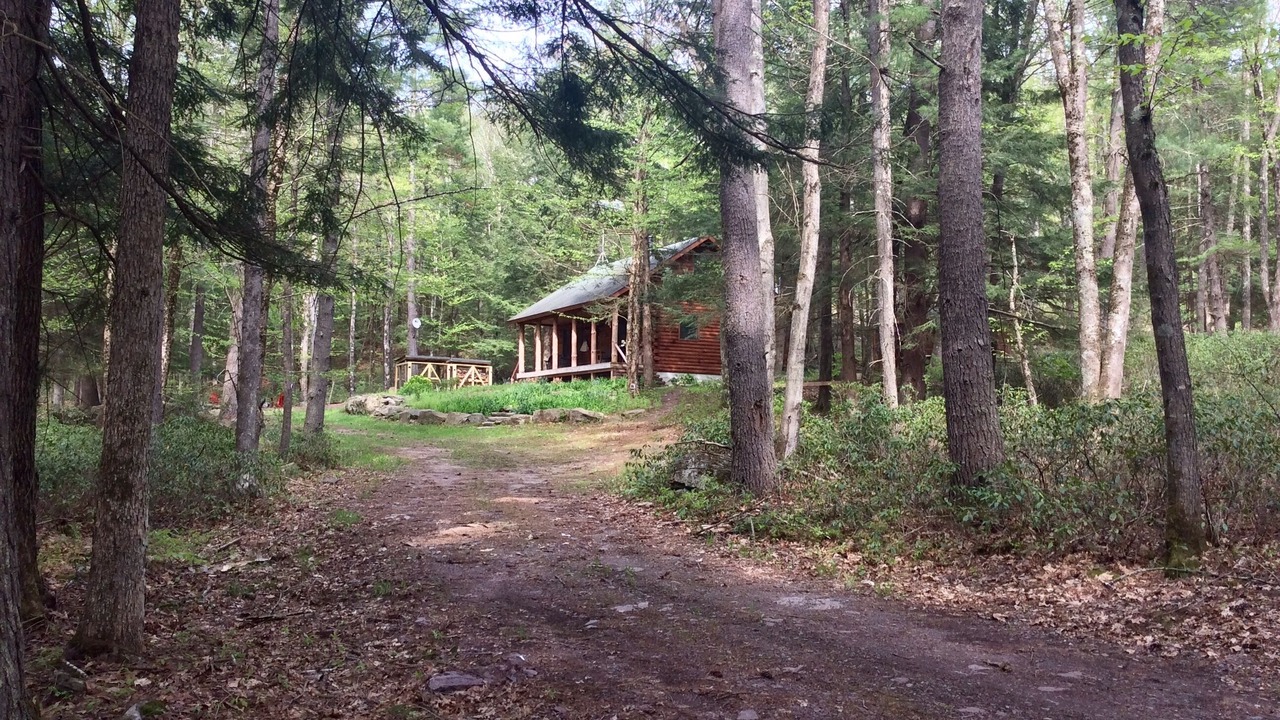 Photo of Others in Narrowsburg