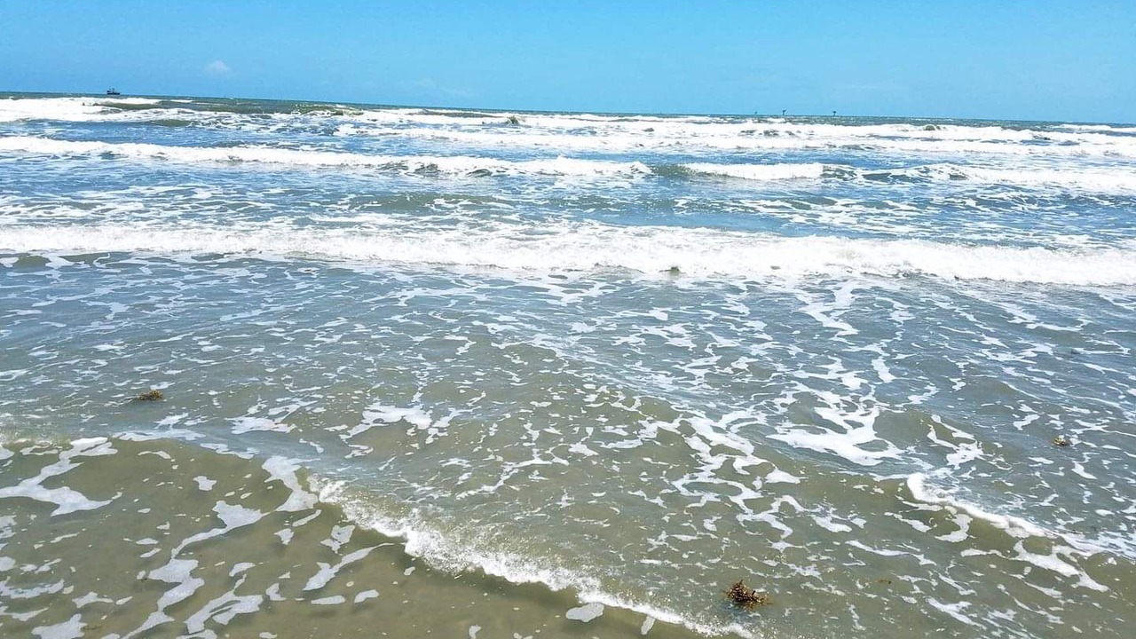 Photo of Others in Port Aransas