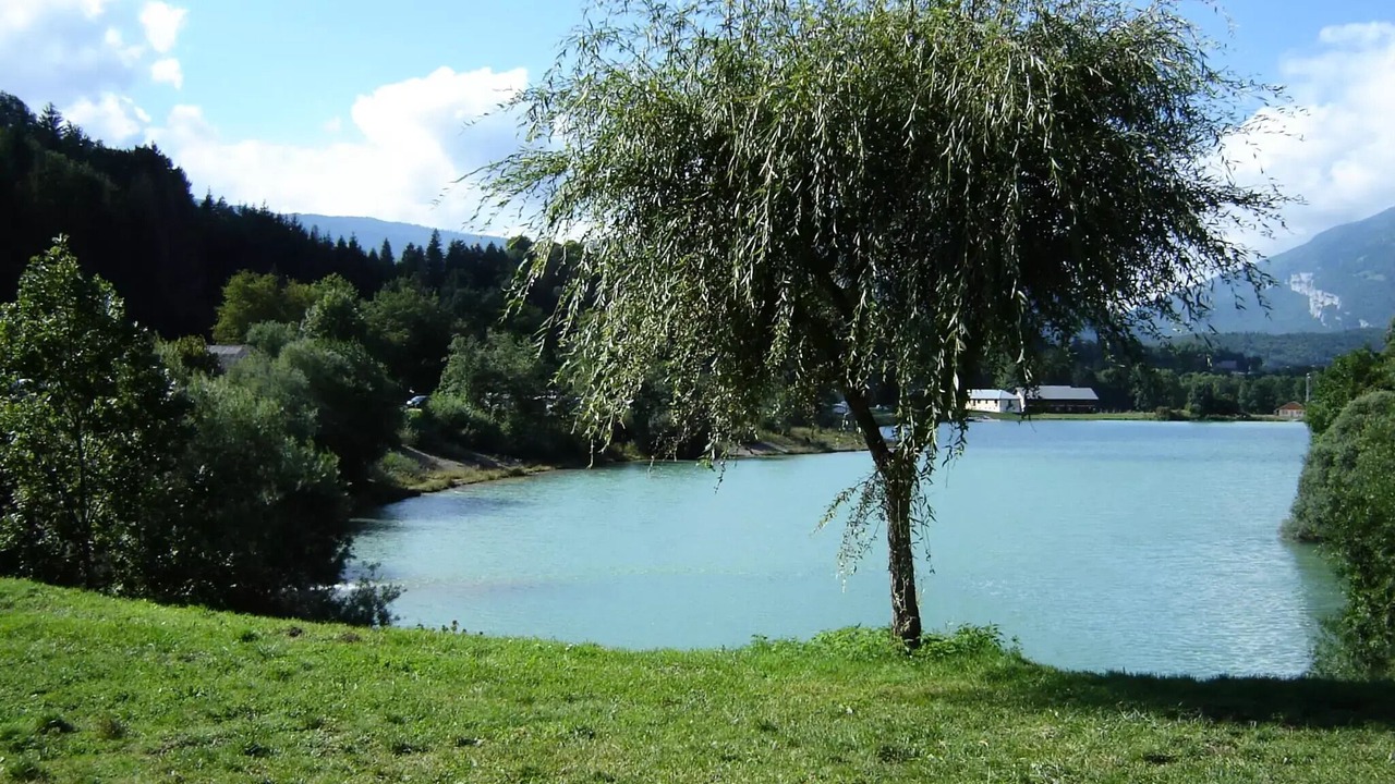 Photo of Others in Lescheraines