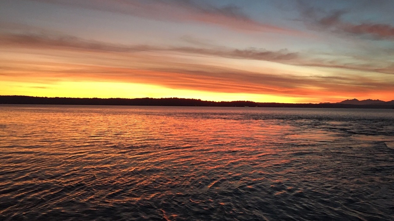 Photo of Others in Vashon Island