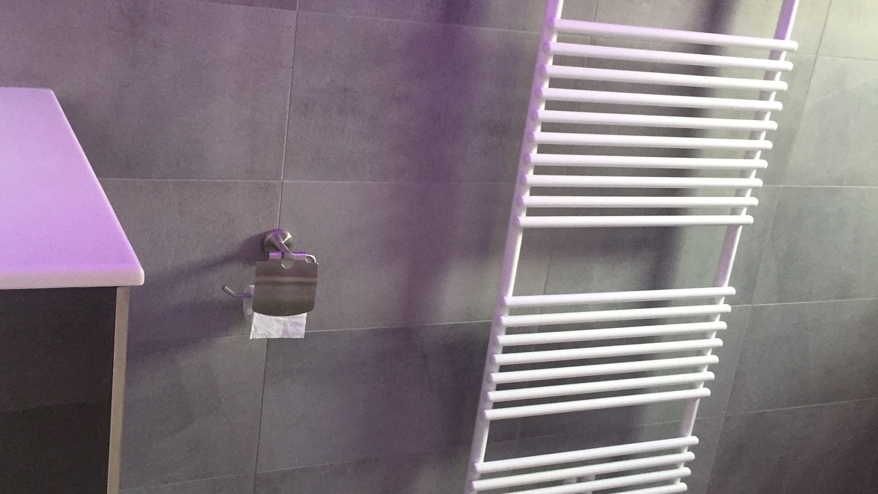 Photo of Bathroom in Marina