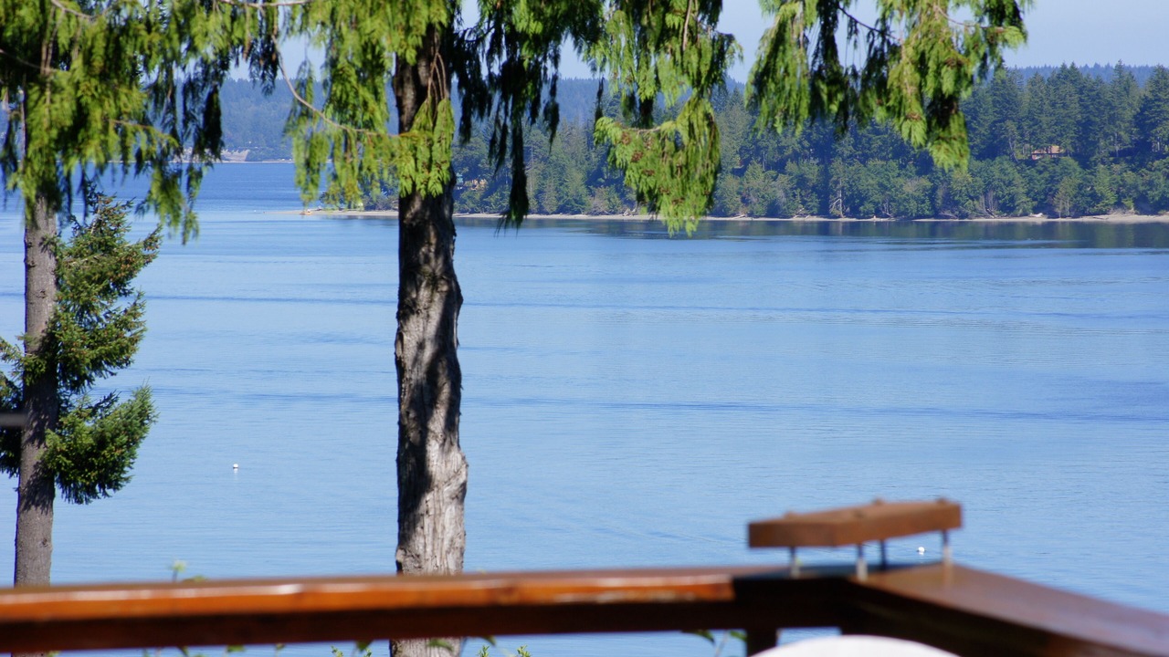 Photo of Others in Grapeview