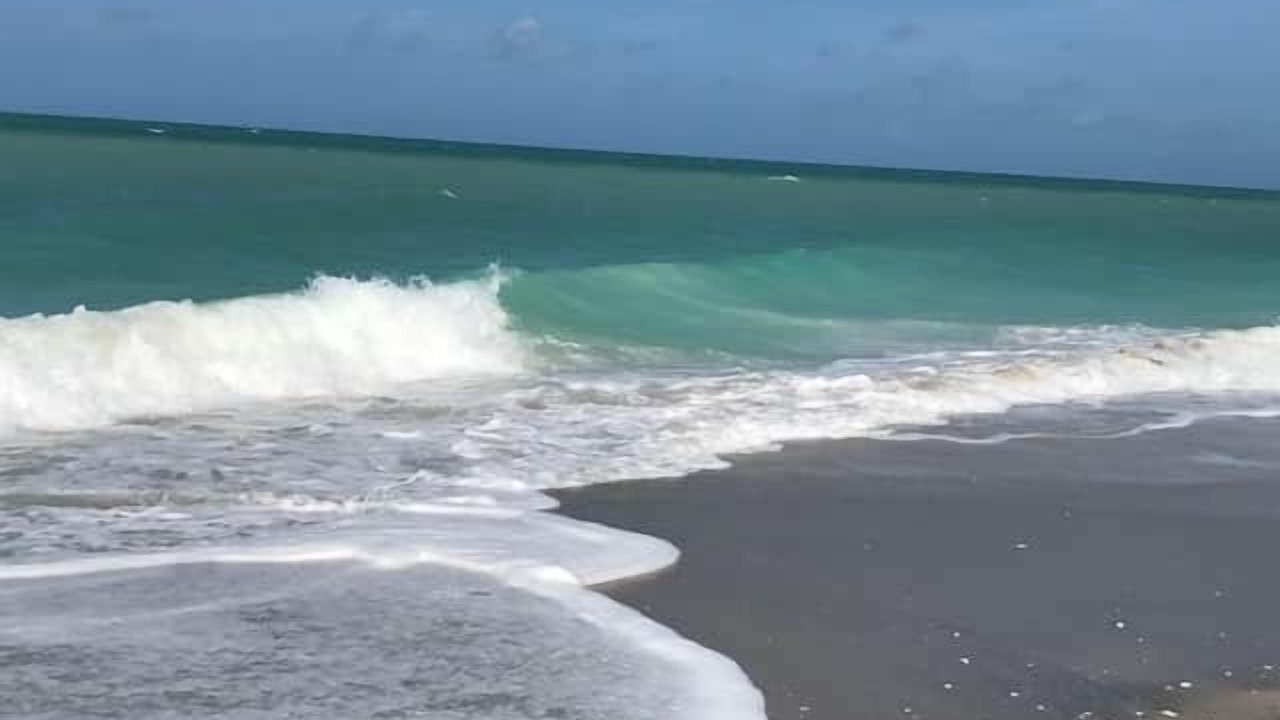 Photo of Others in Englewood