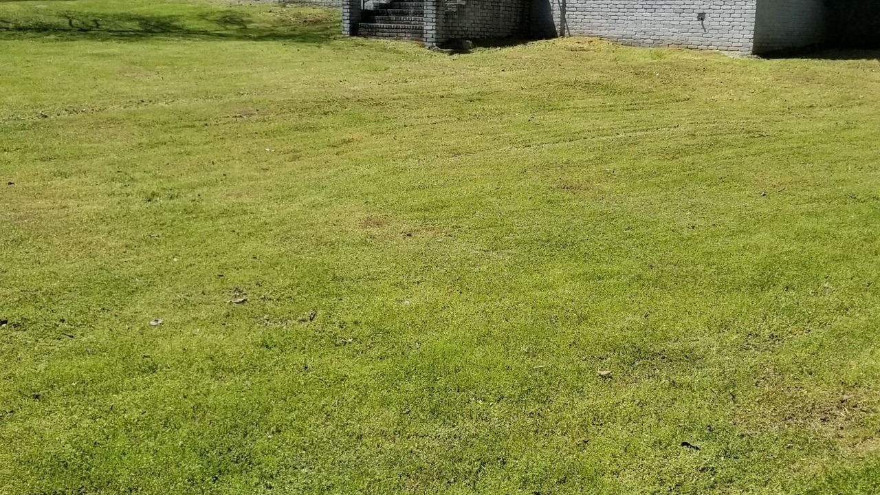 Photo of Others in Little Rock