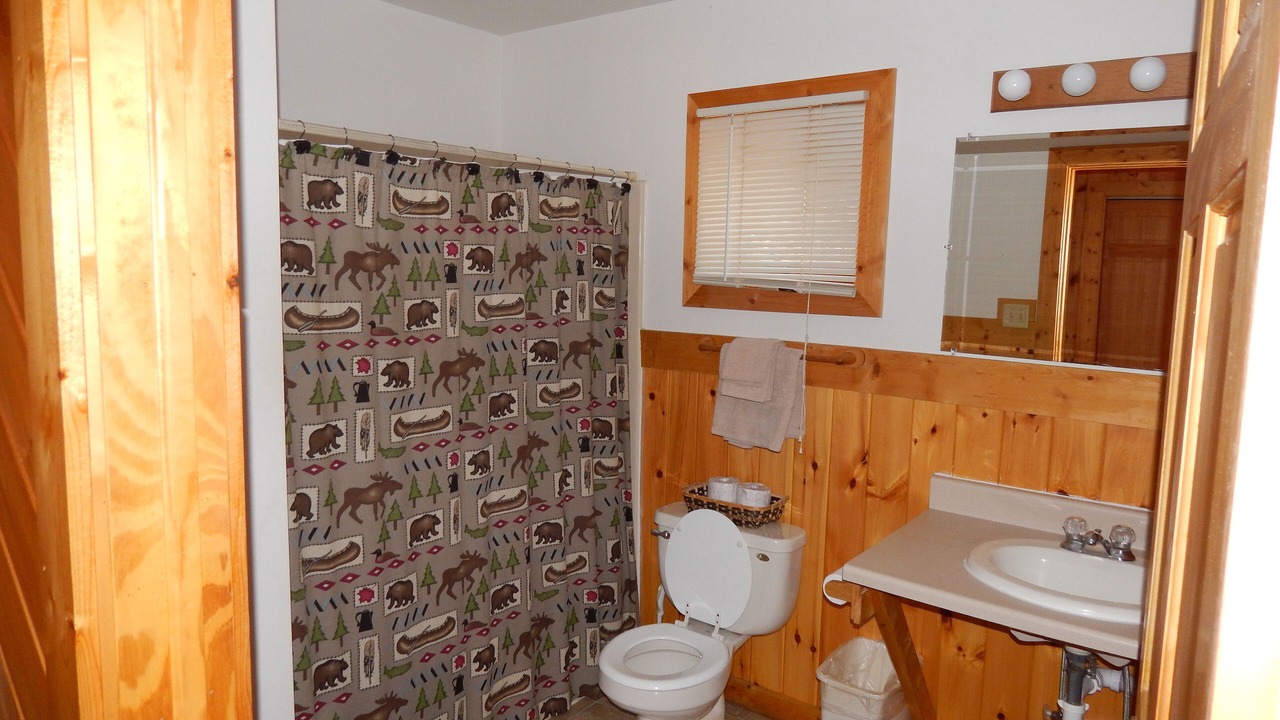 Photo of Bathroom in Orr